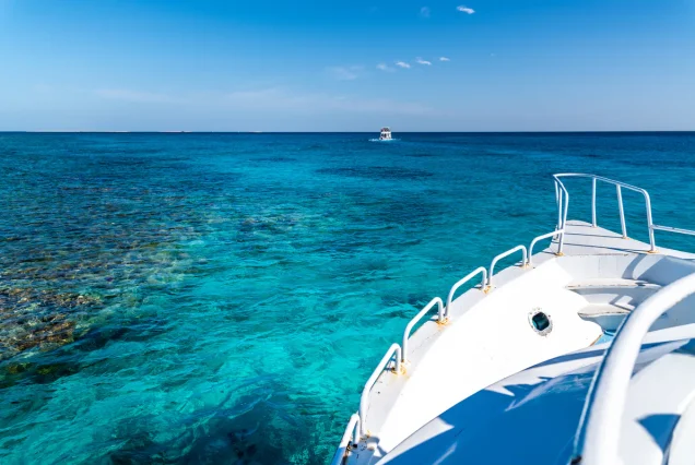 Red Sea Snorkeling Cruise from Hurghada