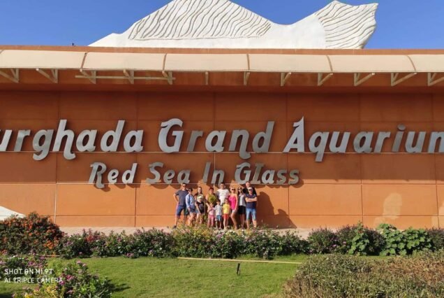 Hurghada Grand Aquarium Discovery Tour